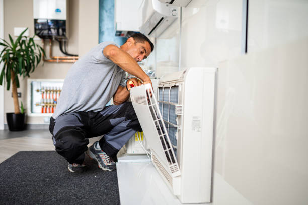 Best HVAC Maintenance and Cleaning  in Laingsburg, MI